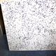 Another demo made by Becky Parker’s students. This one represents the location of galaxies. Photo: Ryan F. Mandelbaum/Gizmodo